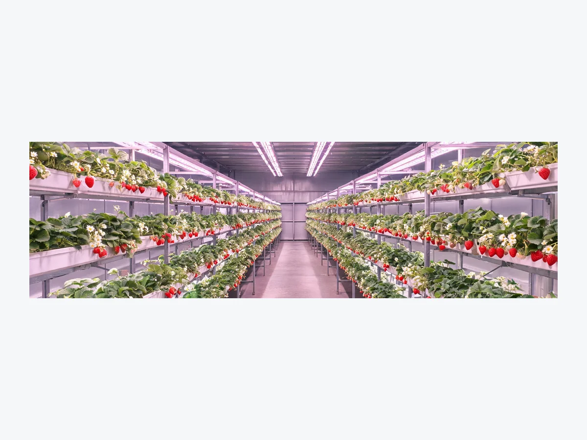 Growing Environment Controls — image from company product brochure